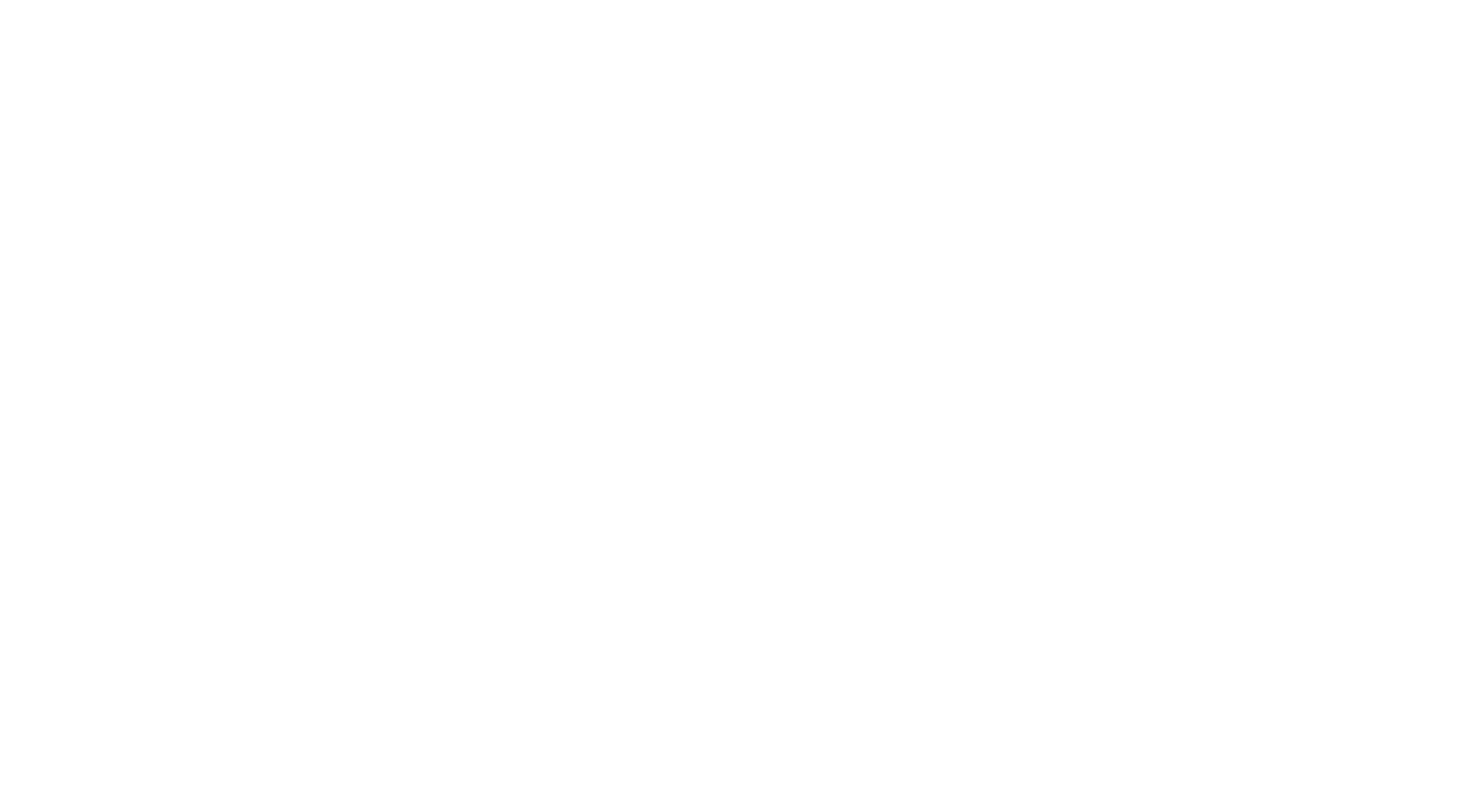 Snow Machine NZ